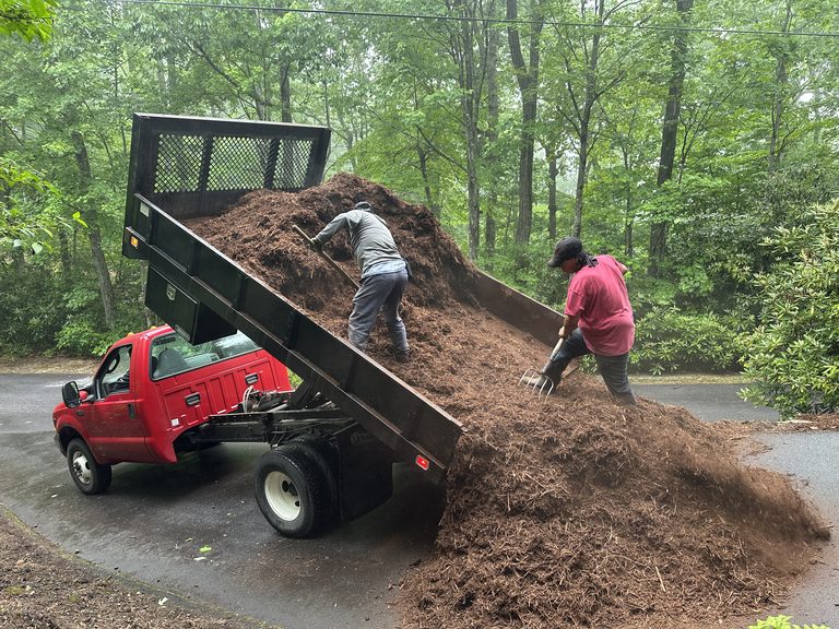 Mulch delivery and spreading from a red dump truck on a wooded driveway