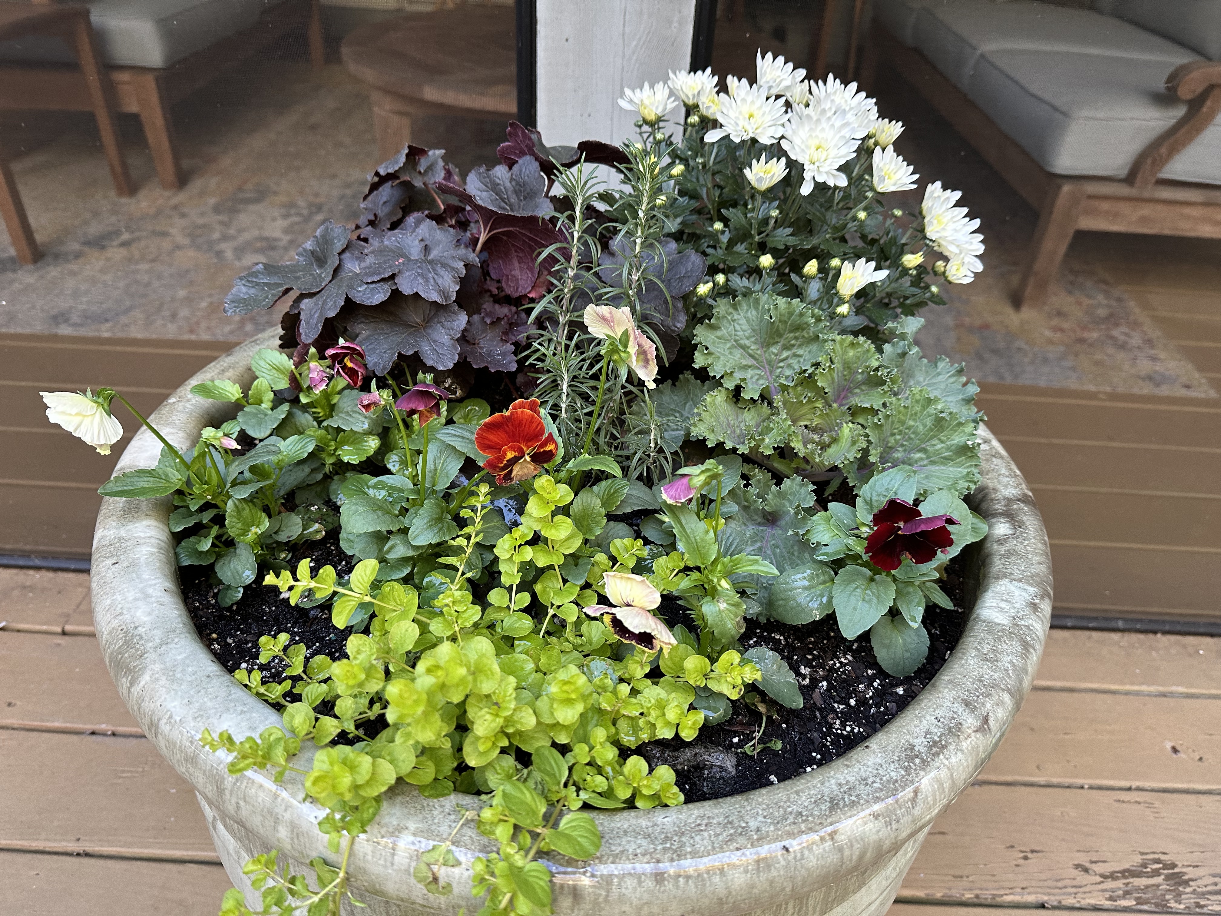 Ceramic planter overflowing with jewel-tone pansies, burgundy heuchera, rosemary, and trailing greens