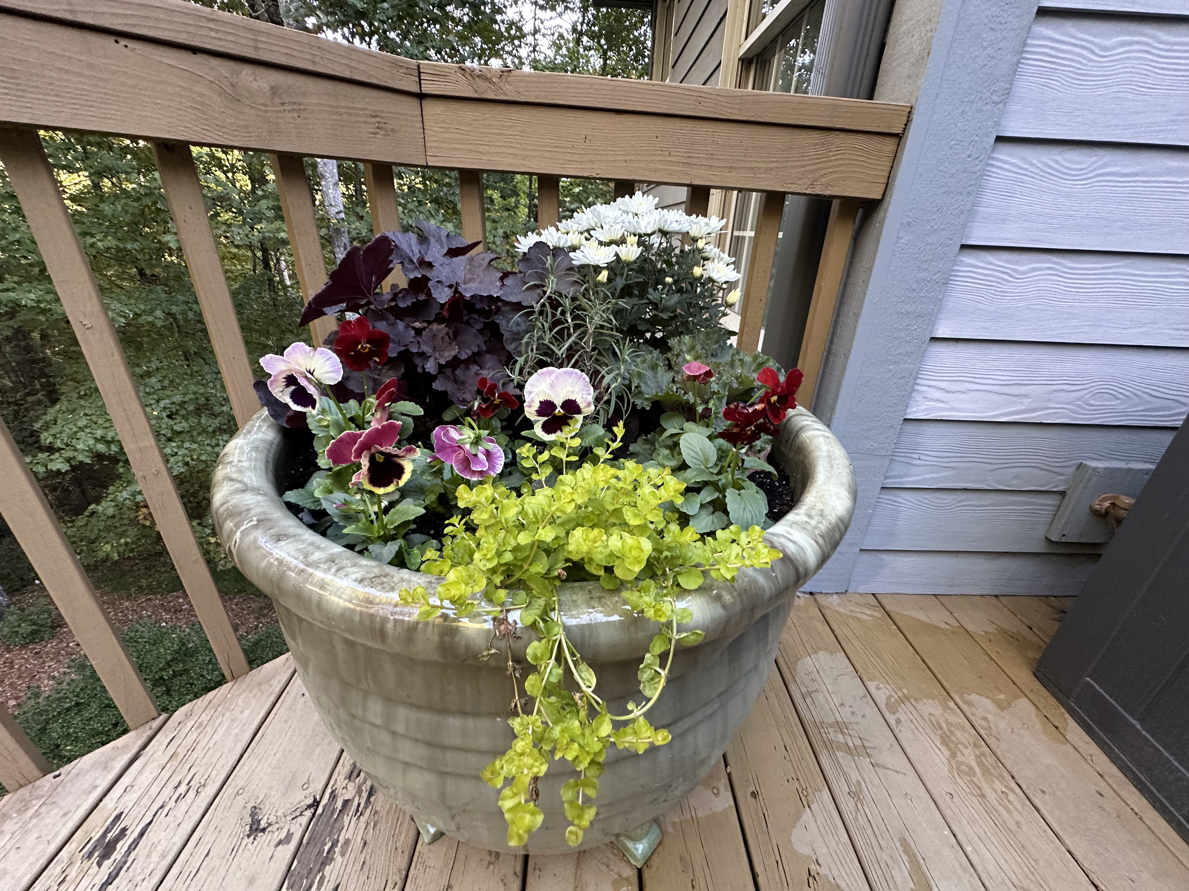 Deck railing container with jewel-tone pansies, kale, and heather